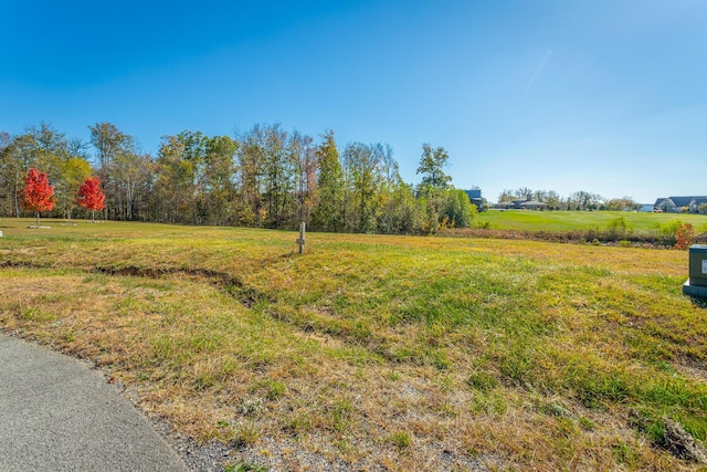 0 Jasper Springs Dr Unit Jh185, Jasper, TN 37347 - photo 43