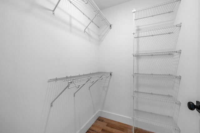 spacious closet with wood-type flooring