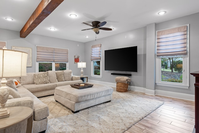 living room with beam ceiling, light hardwood / wood-style flooring, and ceiling fan