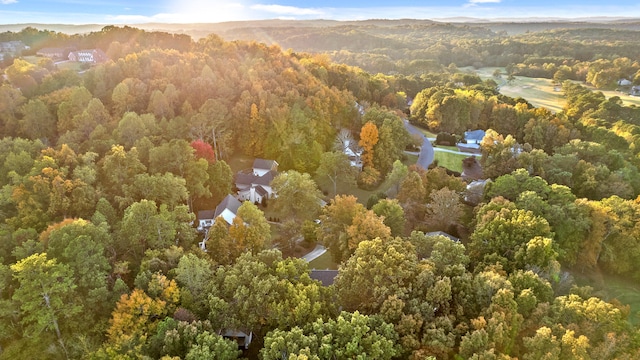 bird's eye view