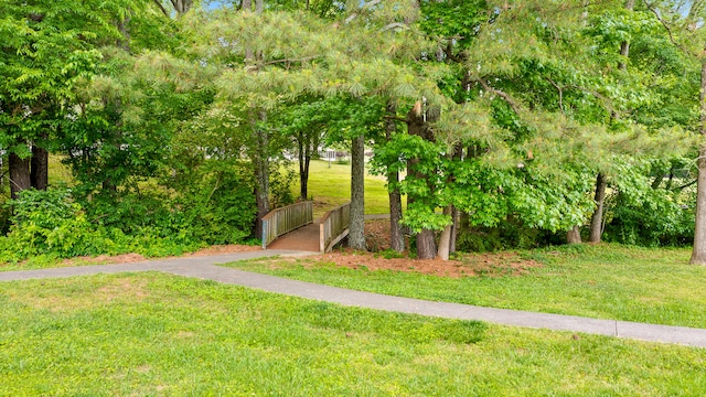 view of property's community featuring a yard