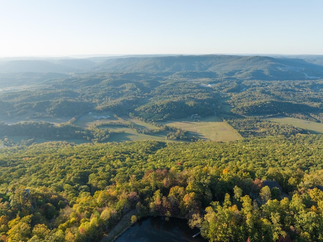 0 Stonesthrow Ln Lot 5, Lookout Mountain GA, 30750 land for sale