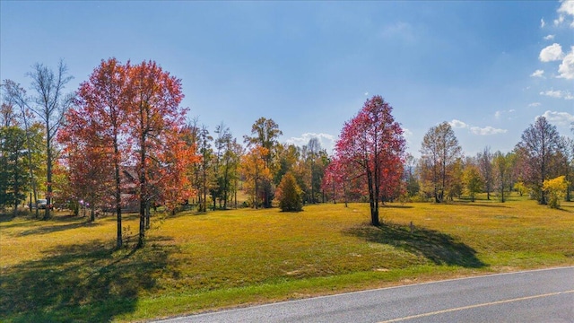 Listing photo 2 for 0 Raulston Falls Rd Unit 159, Jasper TN 37347