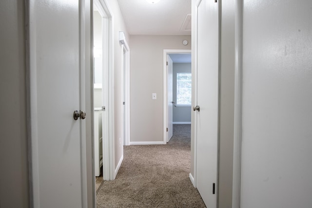 hallway with carpet