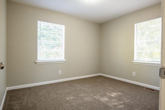 spare room featuring carpet flooring and plenty of natural light