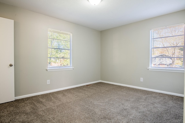 unfurnished room featuring carpet and plenty of natural light