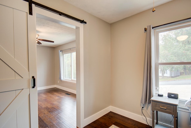 interior space featuring a healthy amount of sunlight, a barn door, ceiling fan, and dark hardwood / wood-style flooring