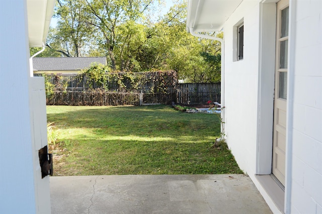 view of yard featuring a patio area