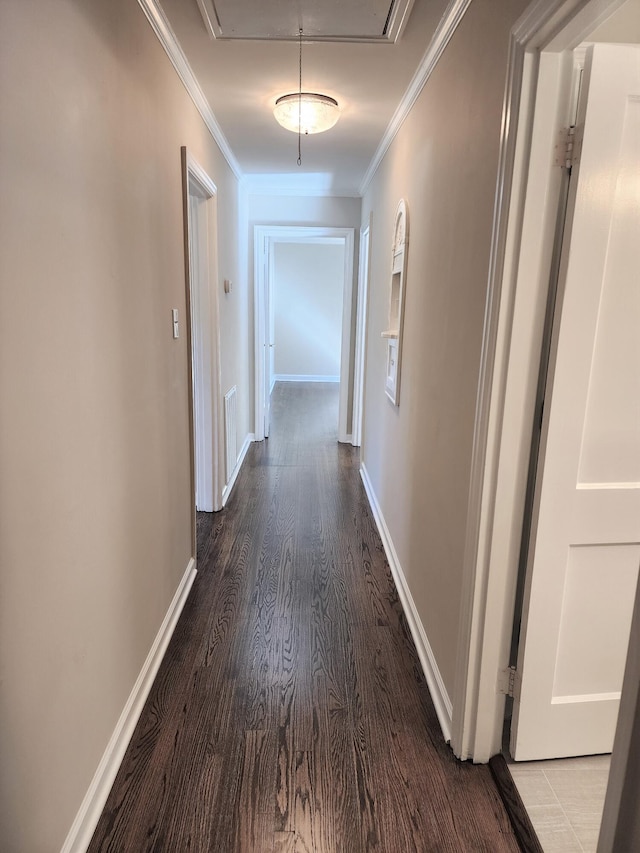 hallway featuring dark wood-type flooring and ornamental molding