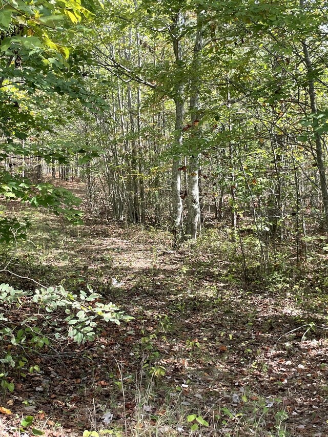 3685 Crockett Pt Unit Jf141, Jasper, TN 37347 - photo 3