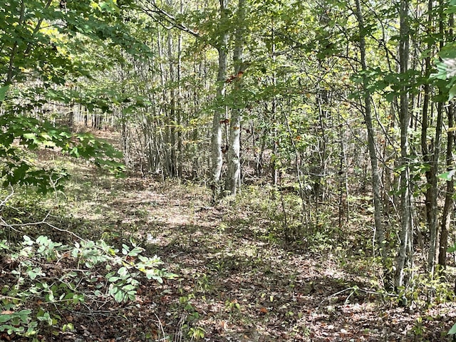 3685 Crockett Pt Unit Jf141, Jasper, TN 37347 - photo 2