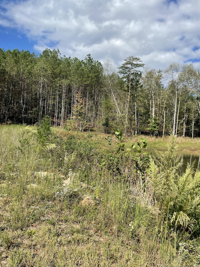3685 Crockett Pt Unit Jf141, Jasper, TN 37347 - photo 4