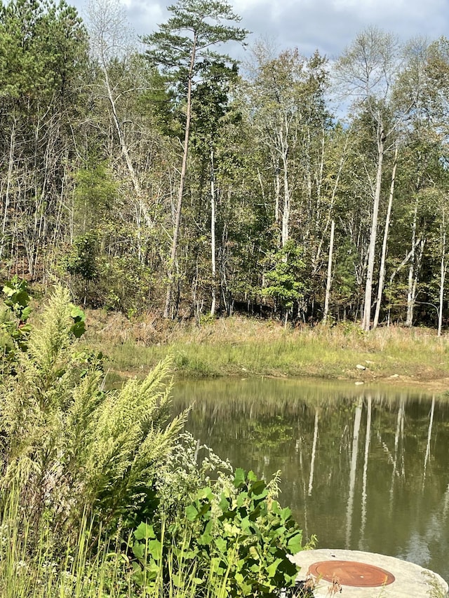 3685 Crockett Pt Unit Jf141, Jasper, TN 37347 - photo 5