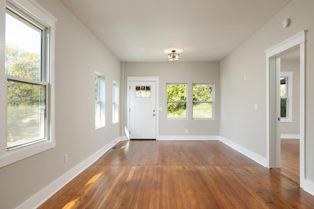 entryway featuring hardwood / wood-style flooring and plenty of natural light