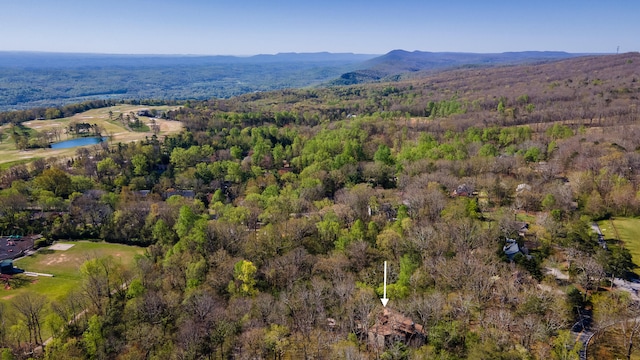 birds eye view of property featuring a water and mountain view