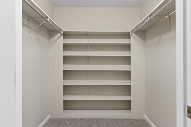 spacious closet featuring carpet flooring