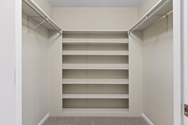 2508 Lake Dweller Ln, Hixson, TN 37343 - walk in closet featuring carpet floors