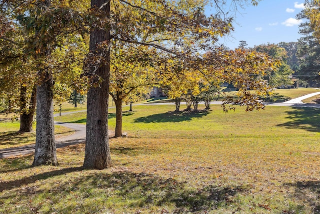 2508 Lake Dweller Ln, Hixson, TN 37343 - surrounding community with a lawn