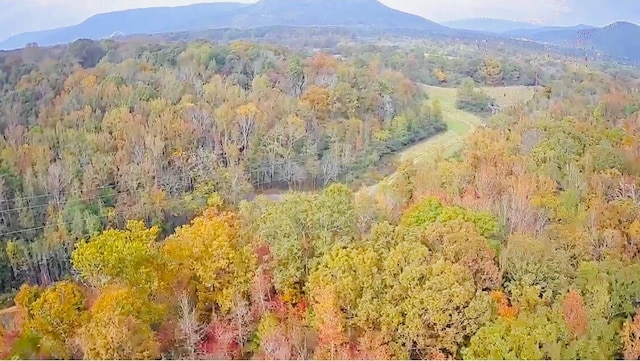 20.00 Burns Island Rd, South Pittsburg TN, 37380 land for sale