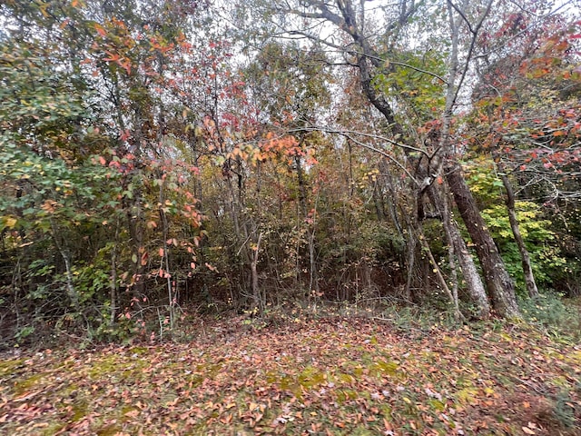 Listing photo 3 for 20.00 Burns Island Rd, South Pittsburg TN 37380