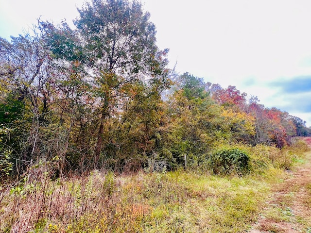 Listing photo 2 for 20.00 Burns Island Rd, South Pittsburg TN 37380