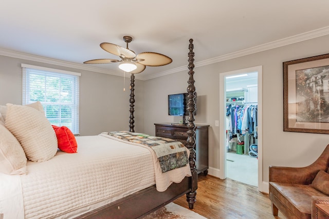 bedroom featuring a spacious closet, a closet, light hardwood / wood-style floors, ceiling fan, and ornamental molding