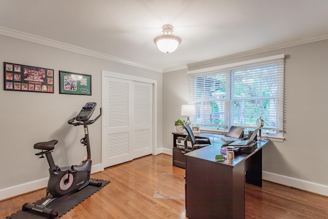 office area with crown molding and light hardwood / wood-style flooring