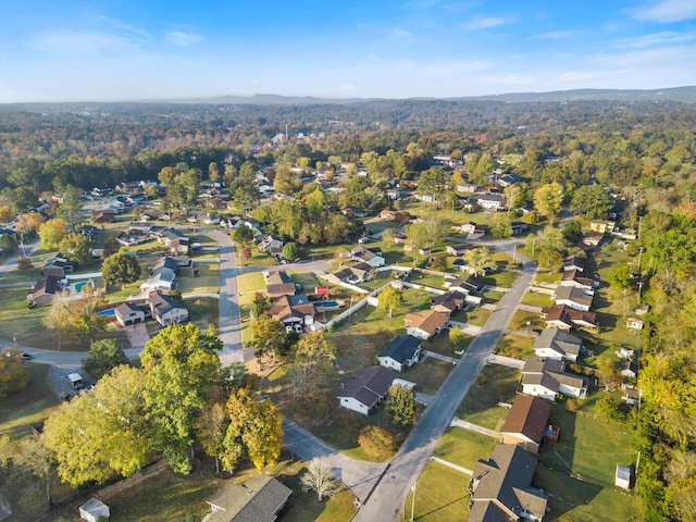 drone / aerial view