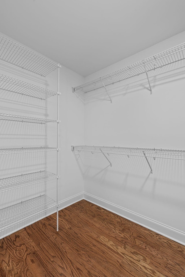 walk in closet with hardwood / wood-style flooring