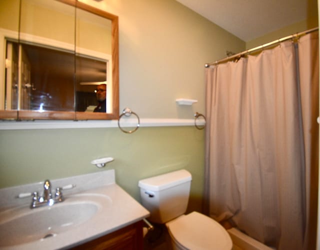 bathroom featuring vanity, toilet, and a shower with shower curtain