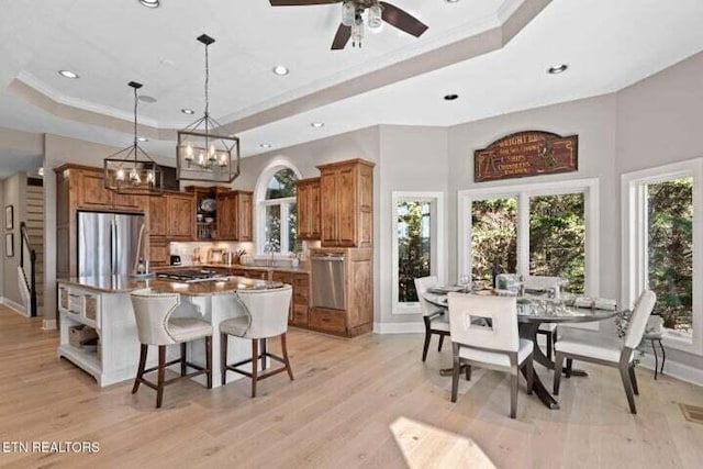 kitchen with a kitchen breakfast bar, light hardwood / wood-style flooring, a center island, a raised ceiling, and appliances with stainless steel finishes