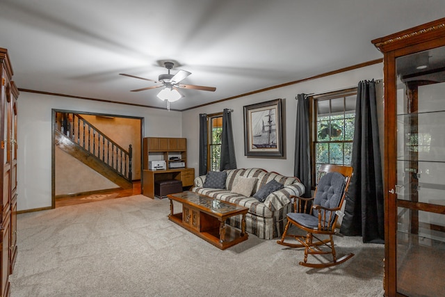 carpeted living room with ornamental molding and ceiling fan