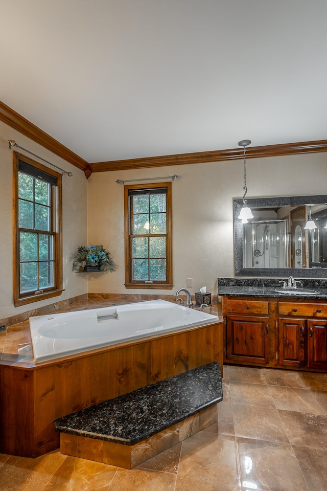 bathroom with vanity, a healthy amount of sunlight, ornamental molding, and a washtub