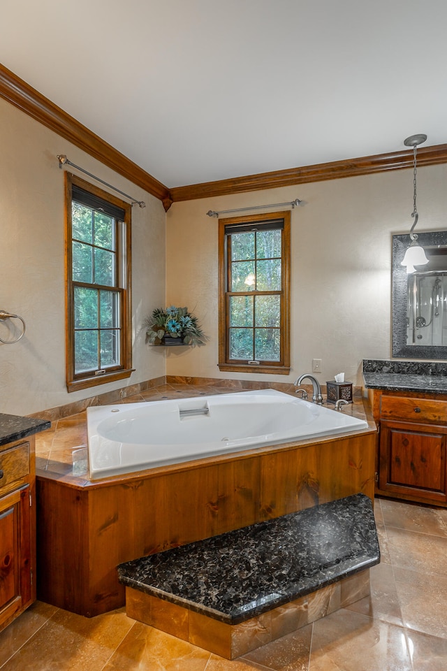 bathroom featuring vanity, ornamental molding, and a washtub