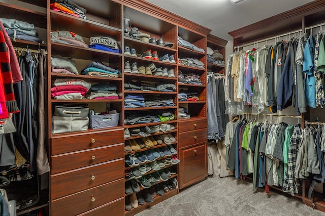 spacious closet featuring carpet floors