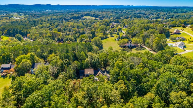 bird's eye view featuring a mountain view