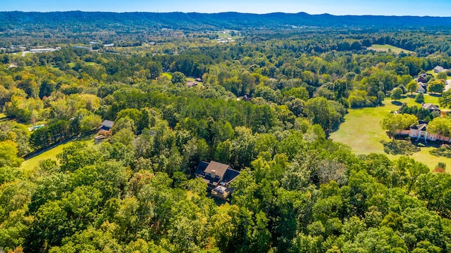 drone / aerial view with a mountain view