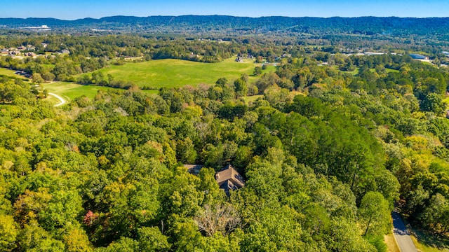 bird's eye view featuring a mountain view