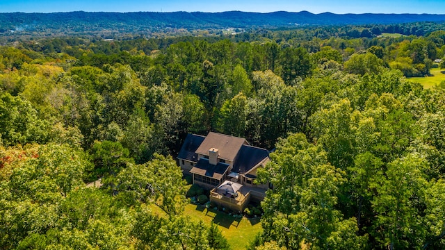 birds eye view of property with a mountain view