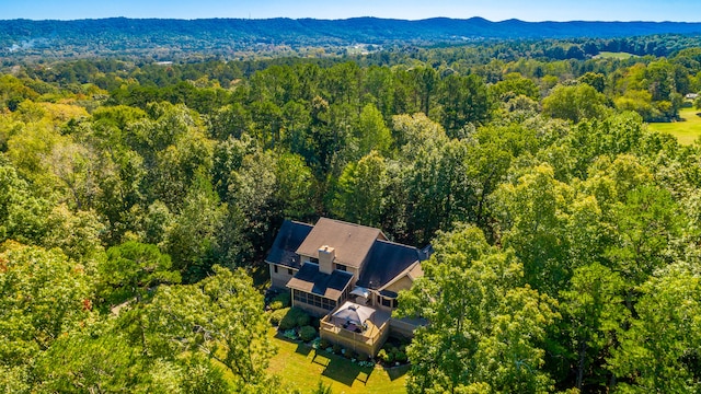 aerial view with a mountain view