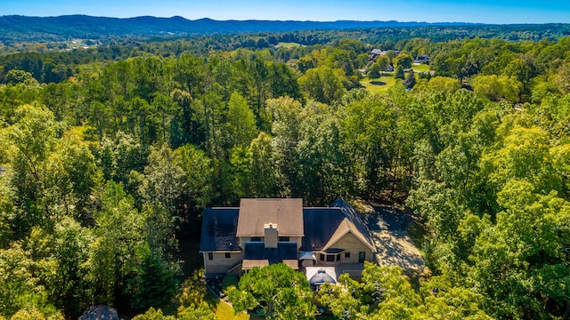 drone / aerial view featuring a mountain view