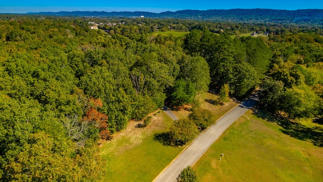 bird's eye view featuring a mountain view