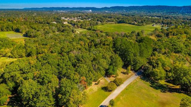 bird's eye view with a mountain view