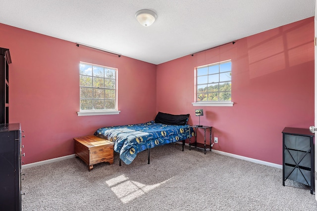 carpeted bedroom with a textured ceiling and multiple windows