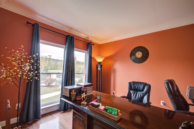 office featuring ornamental molding and light hardwood / wood-style flooring