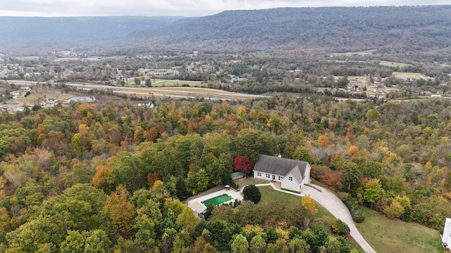 birds eye view of property featuring a mountain view