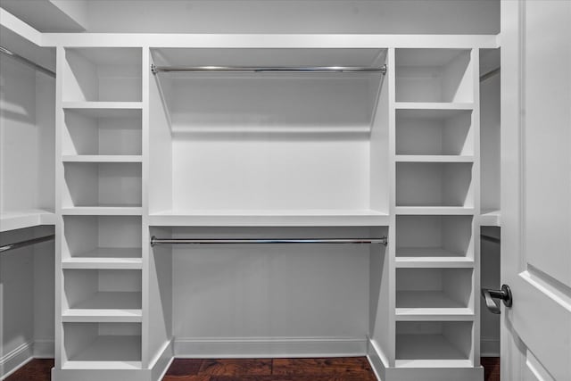 spacious closet featuring dark hardwood / wood-style floors