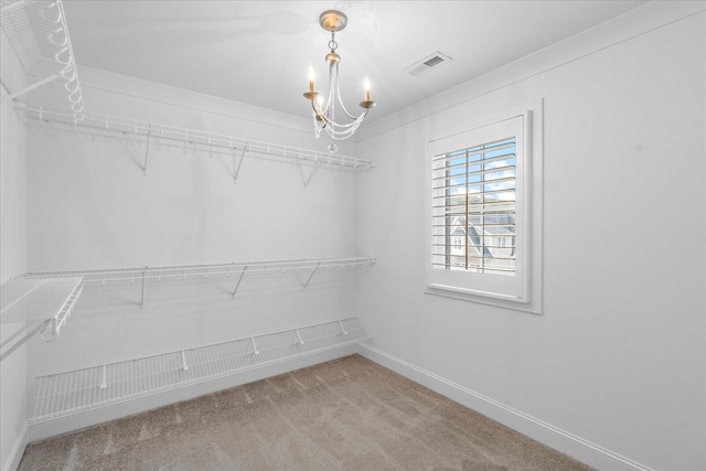 walk in closet with carpet flooring and an inviting chandelier