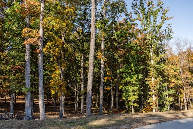 Listing photo 3 for 3332 Galena Cir Lot 842, Chattanooga TN 37419