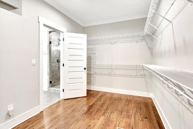 walk in closet with wood-type flooring